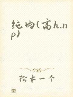 纯肉(高h.np)