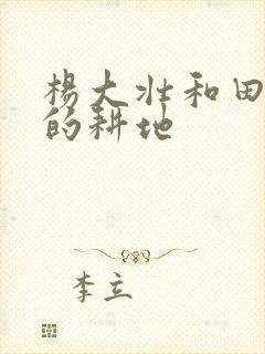 杨大壮和田桂花的耕地