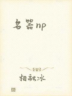 名器np