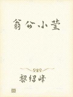翁公小莹