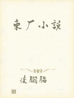 东厂小说