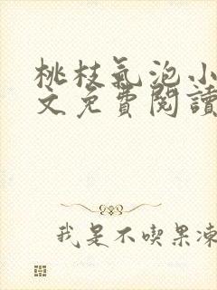 桃枝气泡小说全文免费阅读