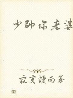 少帅你老婆