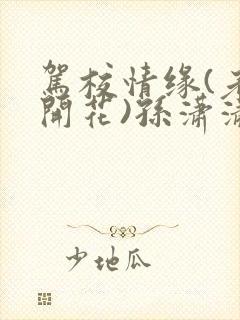 驾校情缘(老树开花)孙潇潇笔趣阁封面