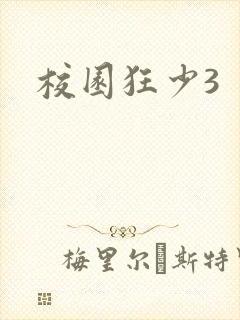 校园狂少3封面
