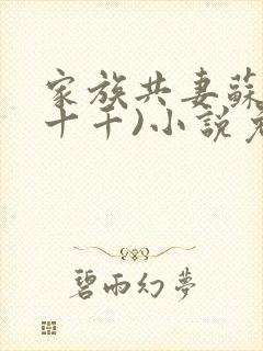 家族共妻苏苏(十千)小说免费