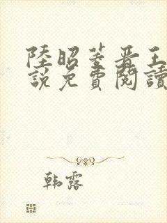 陆昭菱晋王的小说免费阅读