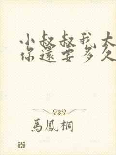 小叔叔我太累了你还要多久封面