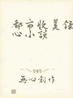 都市收美录宁素心小说