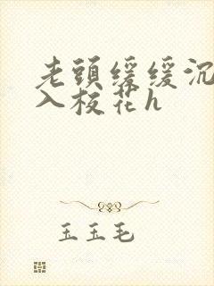 老头缓缓沉腰进入校花h封面