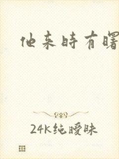 他来时有曙光封面