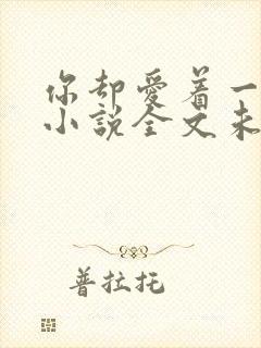 你却爱着一个他小说全文未删减免费