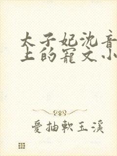 太子妃沈音和皇上的宠文小说