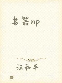 名器np