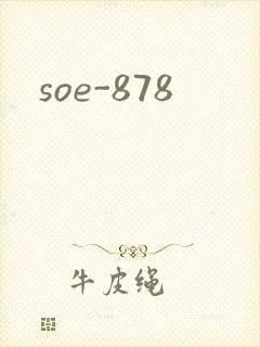 soe-878