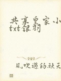 共享皇家小公主txt银羽