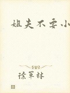 姐夫不要小说