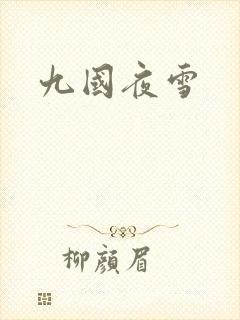 九国夜雪封面