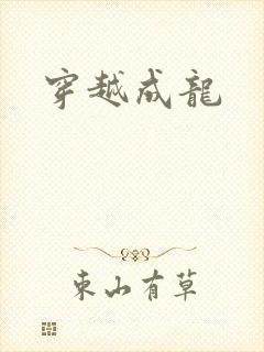 穿越成龙
