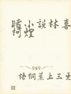 赌小说林喜朝和柯煜封面