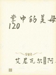 掌中的美母版主120