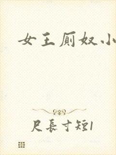 女王厕奴小说封面