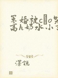军婚被cαo哭高h奶水小说封面