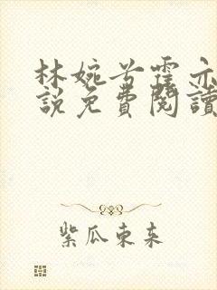 林婉兮霍亦铭小说免费阅读