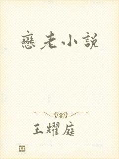 恋老小说