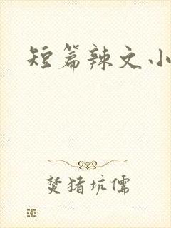 短篇辣文小说