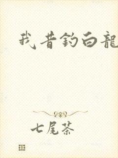 我昔钓白龙封面
