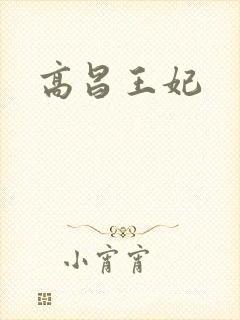 高昌王妃封面