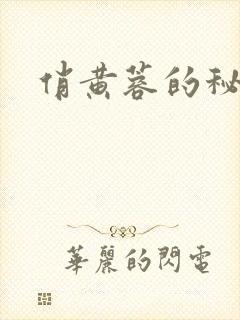 俏黄蓉的秘密封面