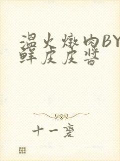 温火炖肉BY海鲜皮皮酱