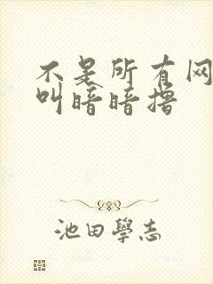 不是所有网站都叫暗暗撸