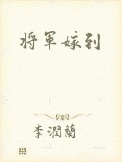 将军嫁到