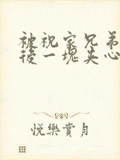 被祝家兄弟共享后一块夹心饼封面