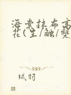 海棠抹布高岭之花(生/触/双)