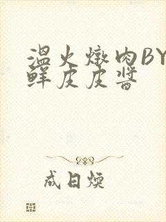 温火炖肉BY海鲜皮皮酱