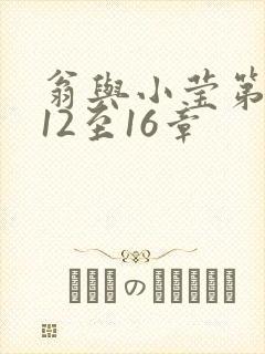 翁与小莹第十部12至16章