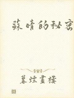 苏晴的秘密小说