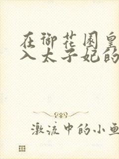 在御花园皇上进入太子妃的小说封面
