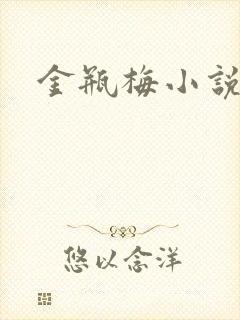 金瓶梅小说封面