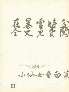 在暴雪时分小说全文免费阅读