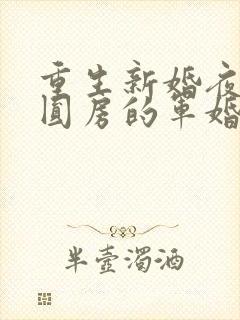 重生新婚夜正在圆房的军婚