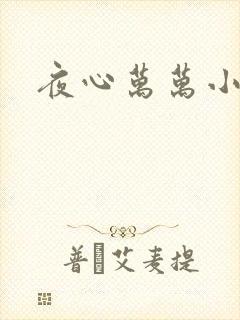 夜心万万小说封面