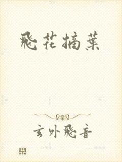 飞花摘叶封面
