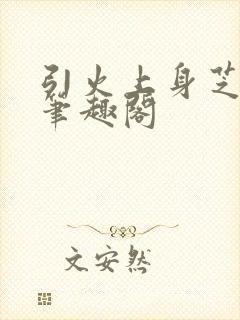 引火上身芝麻糖笔趣阁