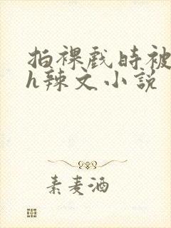 拍裸戏时被c了h辣文小说封面