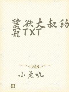 禁欲大叔的心尖宠TXT